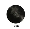 1B