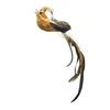Brown Magpie Replacement Head