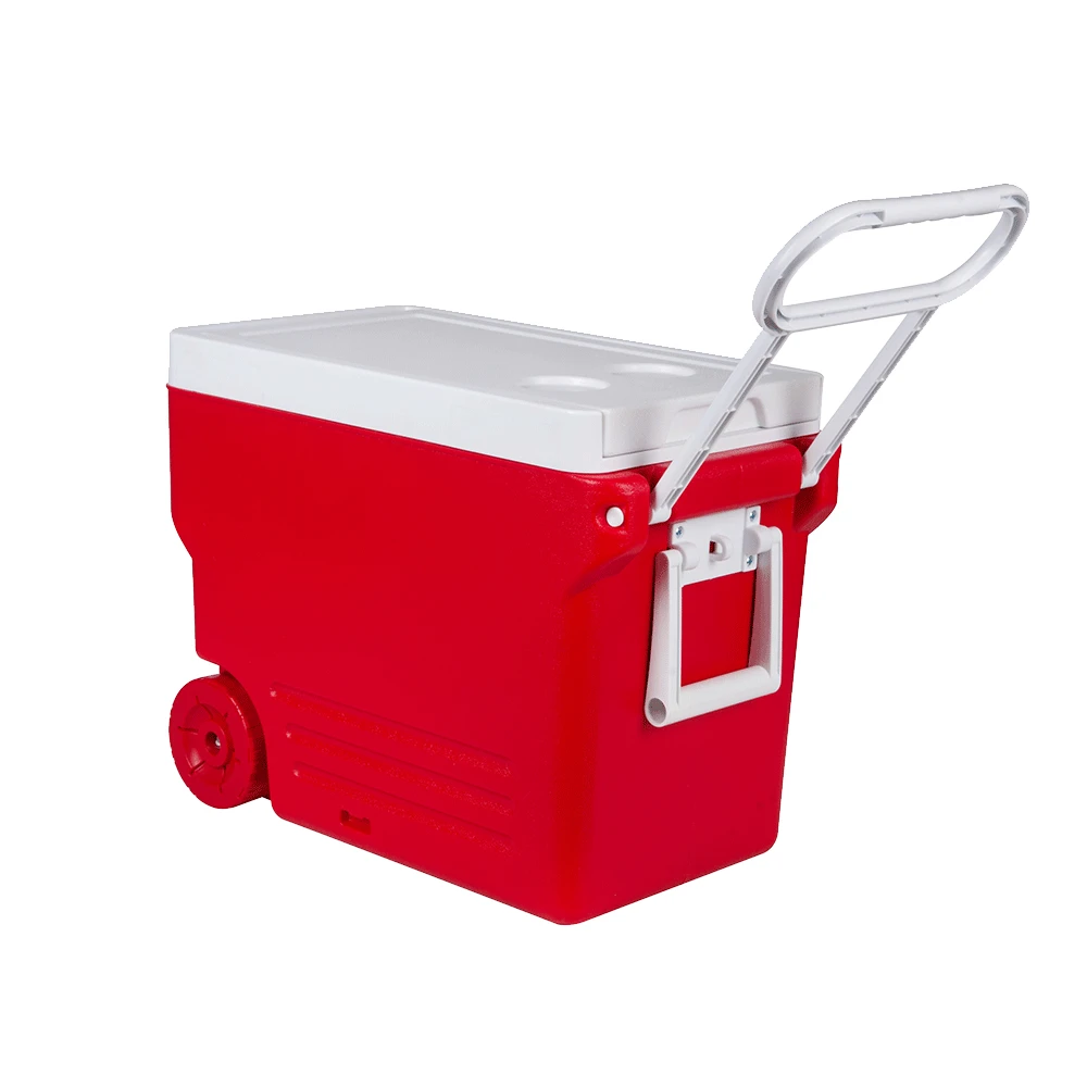 cold storage box for fish Large 5L Insulated Cooler Portable Ice Box Travel Camping Picnic Fish, Insulated Cooler Box Hard Case Keeps Food Freshness and Drink Cool (Blue) one solution for efficient Insulated Fish Totes: Safe &