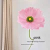 Coeur de fleur profond rose coquelicot sans poteau