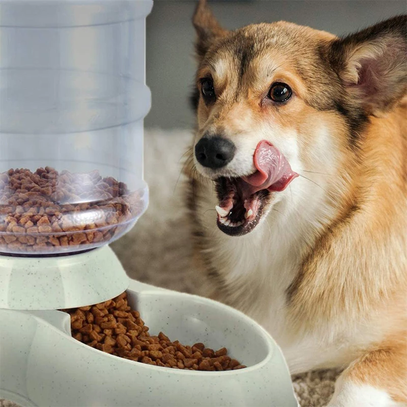large automatic pet dog feeder drinking fountain plastic dog food bowl pets water dispenser