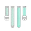 GRAY/teal