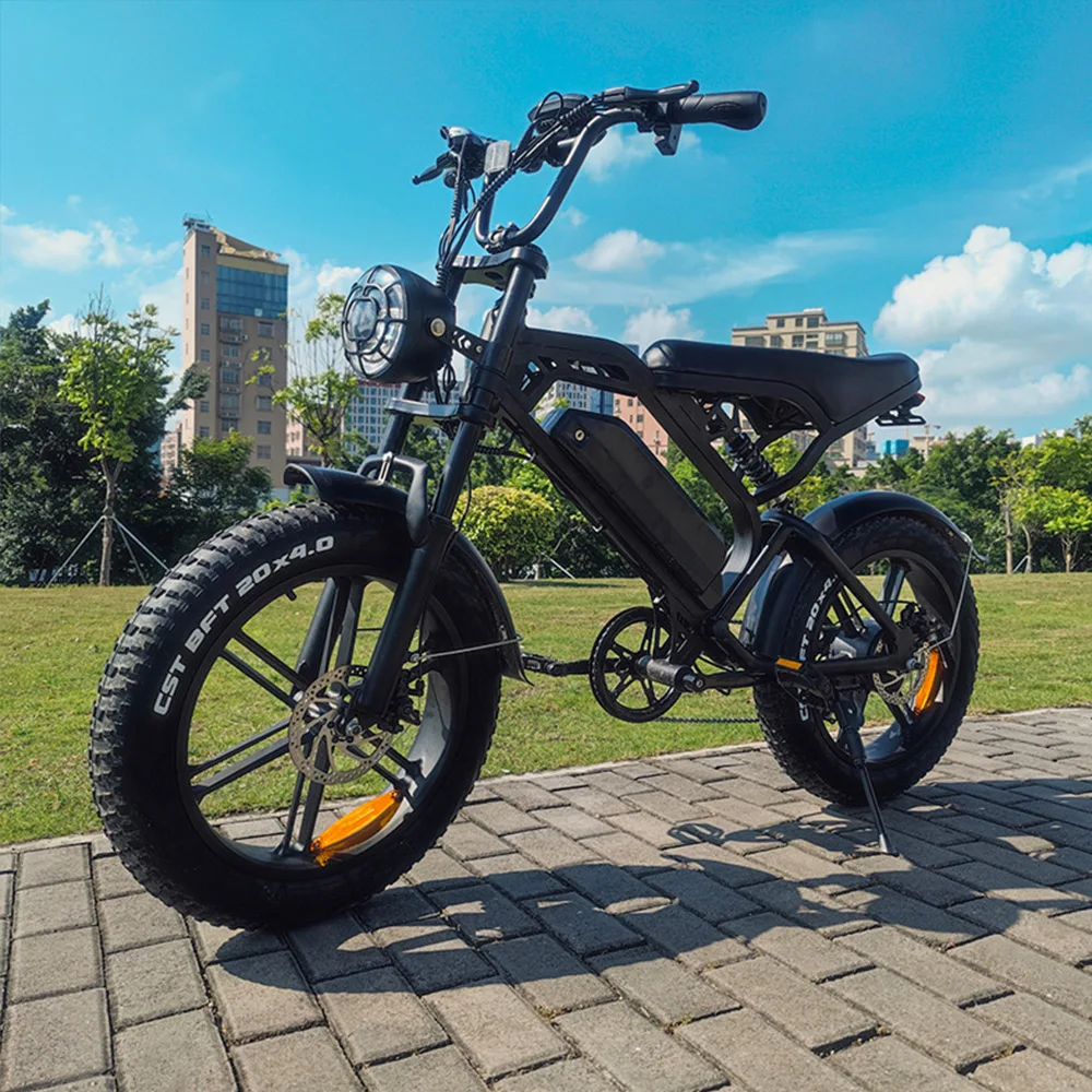 V20 Fatbike Powerful 500w Electric Bike for All Terrains