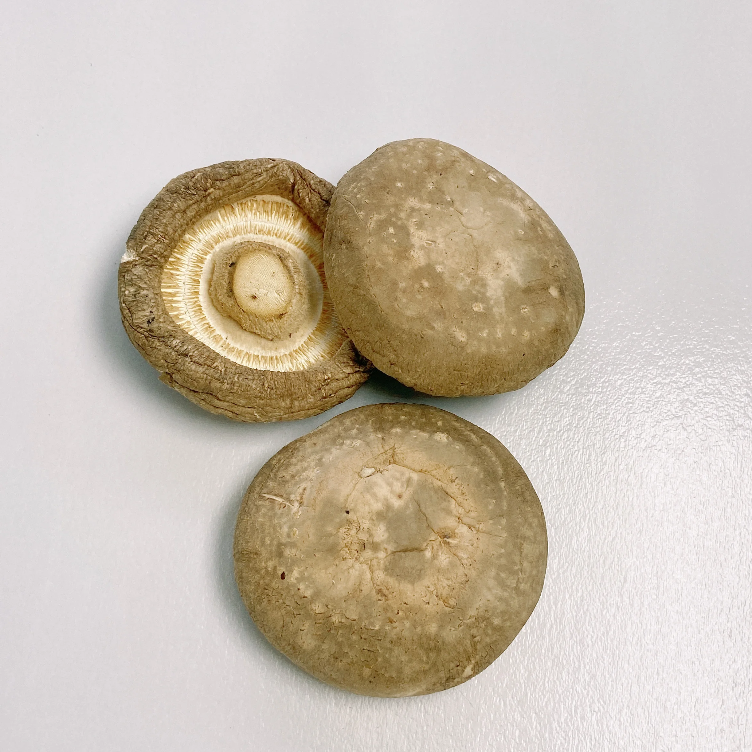 Распродажа, органические сушеные грибы хорошего качества, цена, сушеные грибы на продажу