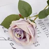 Viola