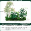 Red Leaf Southern Sky Bamboo 2mlong