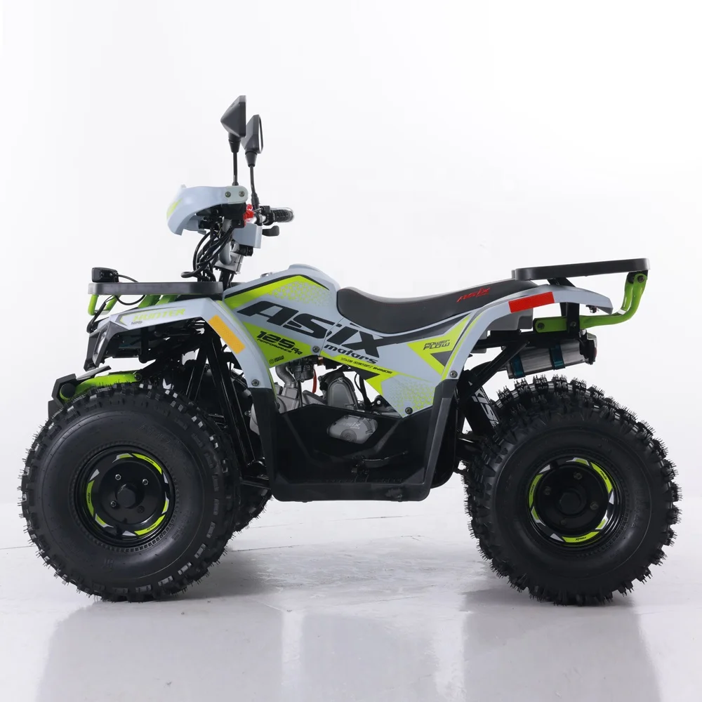 Tao Motor 2024 New ATV 125 - Cheap Chinese Automatic Chain Drive Farm ...