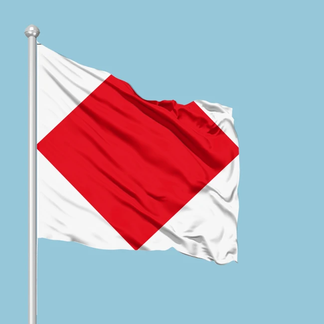 F-卸売耐風性海軍ペナント-マリンコード-40.64cmX 71.12cm-航海/船