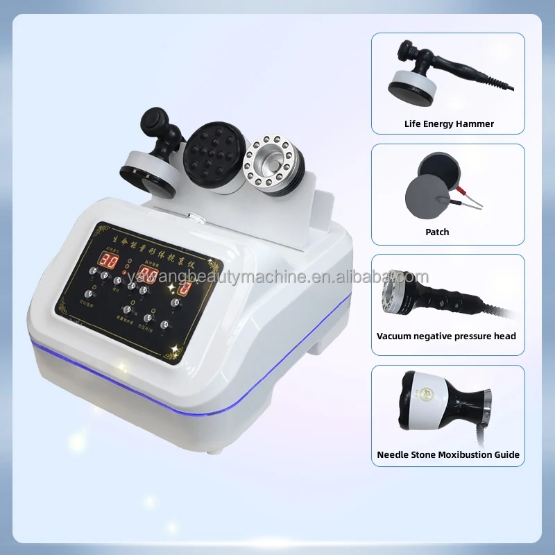 Vacuum Cupping Scraping Instrument Heating Scraping Instrument Meridian ...
