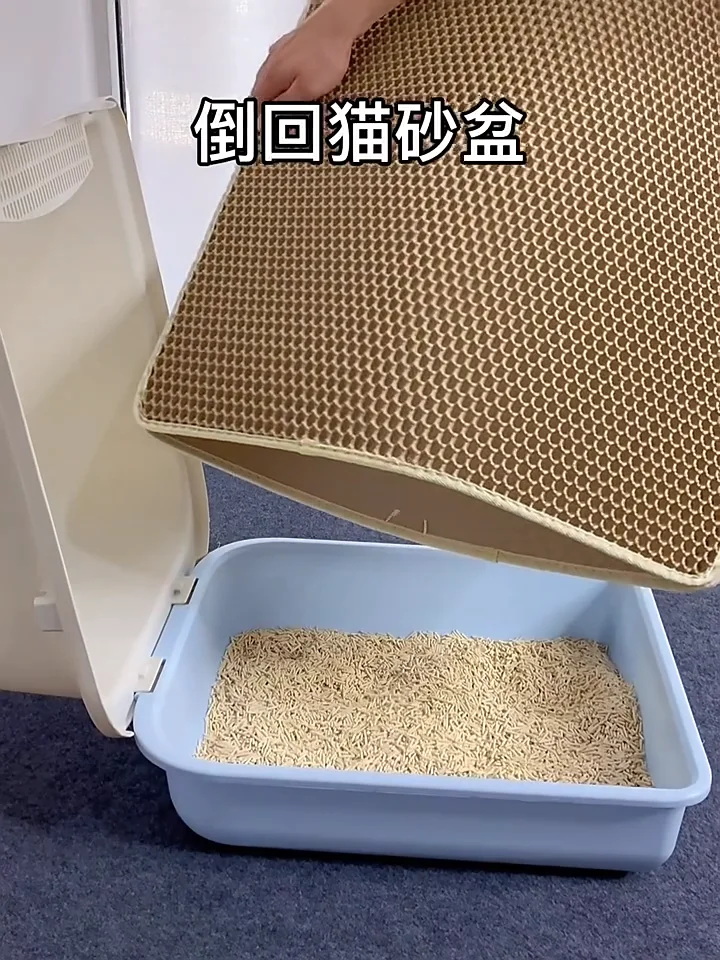 2023 New Eco Friendly Double Layer Colored Floor Nonslip Eva