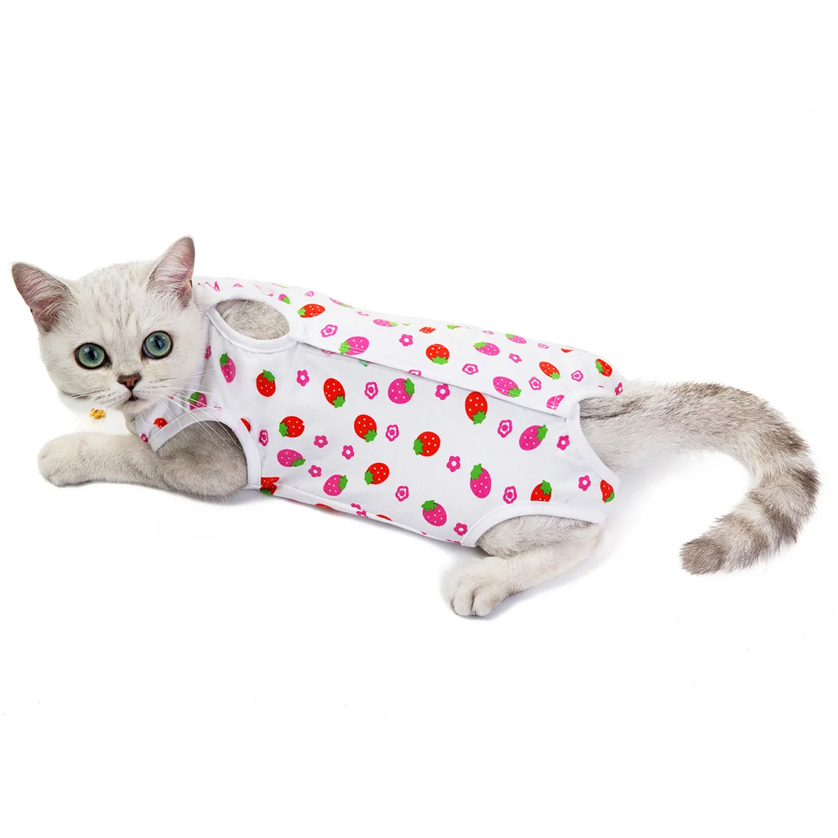 Wholesale New Designer Cat Clothes neutering postpartum cat surgical  clothing anti-licking weaning clothing pet cat clothes From m.