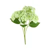 amarillo verde
