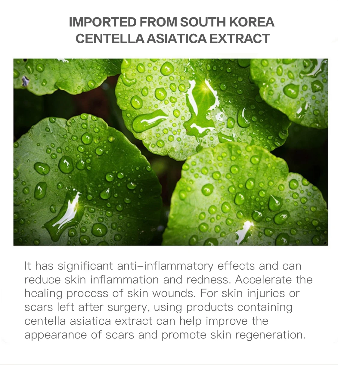 Centella Asiatica Extract Skin Care Set With Hyaluronic Acid & Vitamin