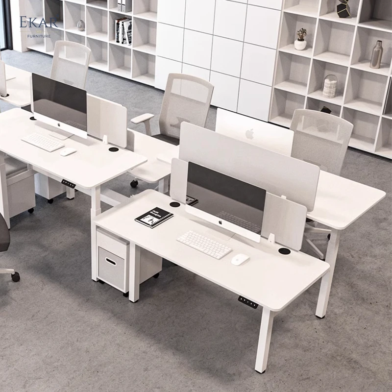 Ekar Expand Furniture Height-Adjustable Dual Workstation Office Desk with Ergonomic Design