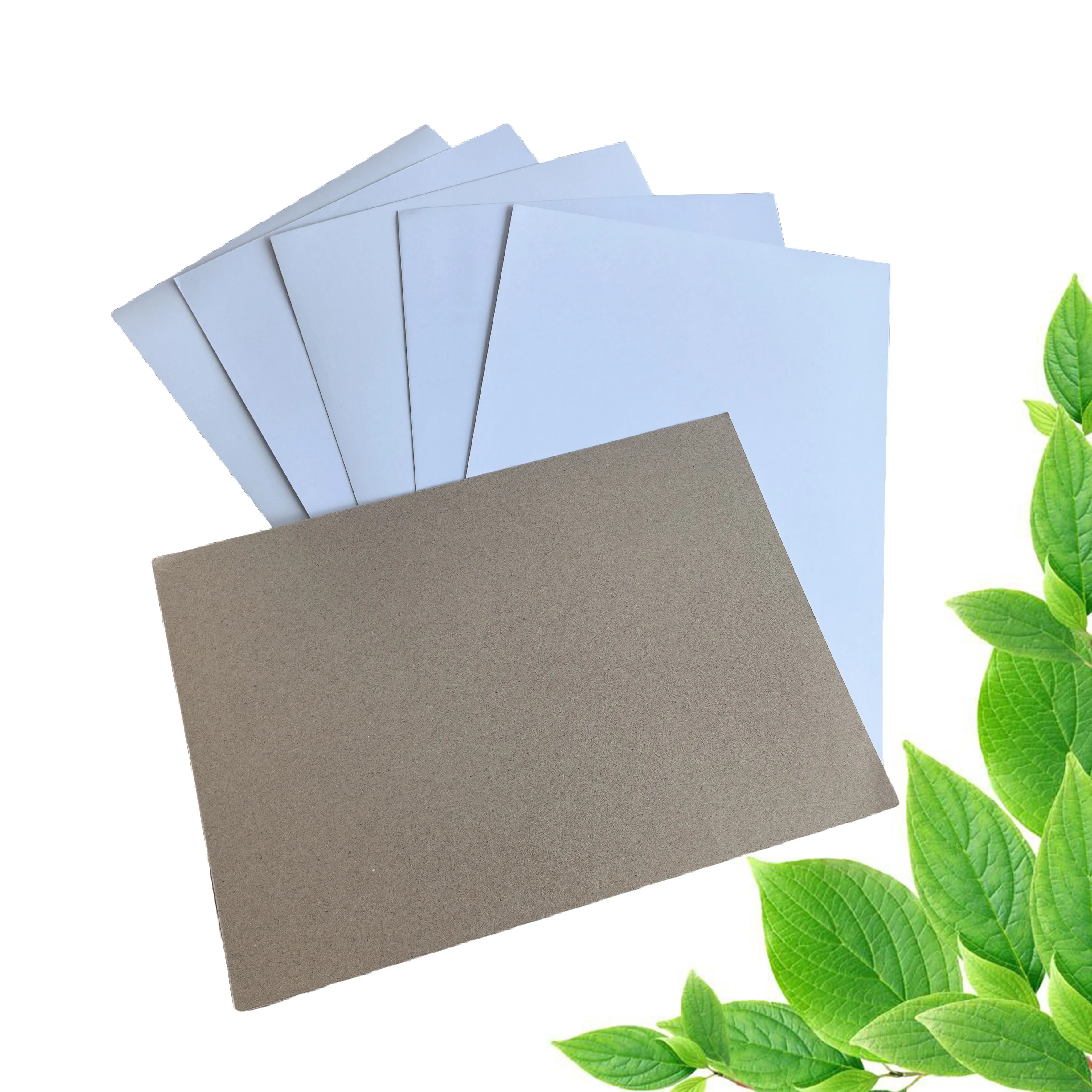 Competitive Price  Coated Duplex Board Grey Back for Packing and Printing 350g  400g