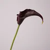 05-Negro-Púrpura