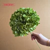 #10 hortensias de cabeza grande de color verde oscuro - 18 cm