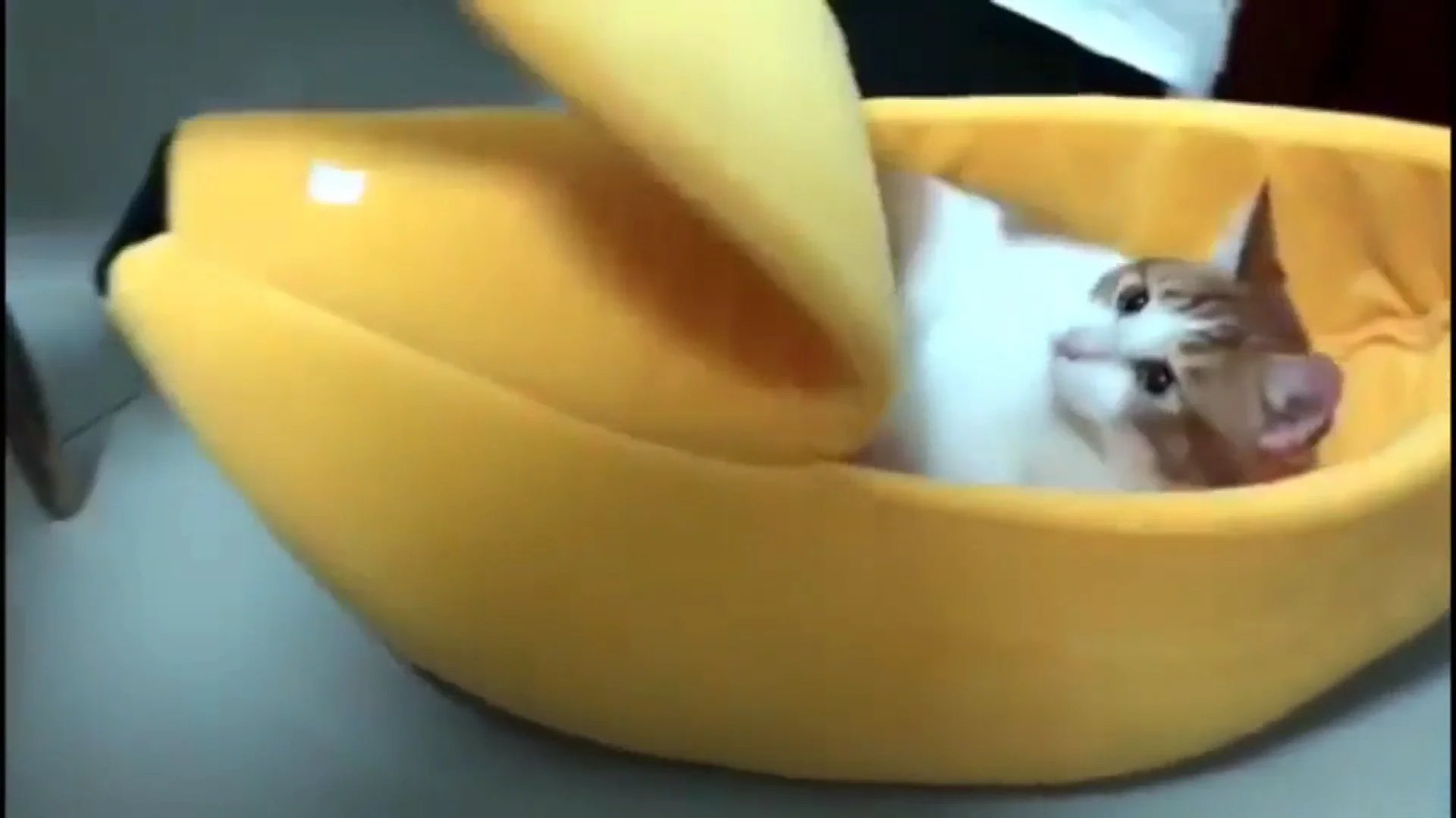 PET GROW Bananen Katzenbett – Weiches Kuschelbett Mit Halboffenem Deckel (versch. Größen)