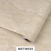MSTW025