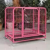 Bold encryption (pink)