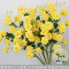 Elegant yellow 6-headed small roses