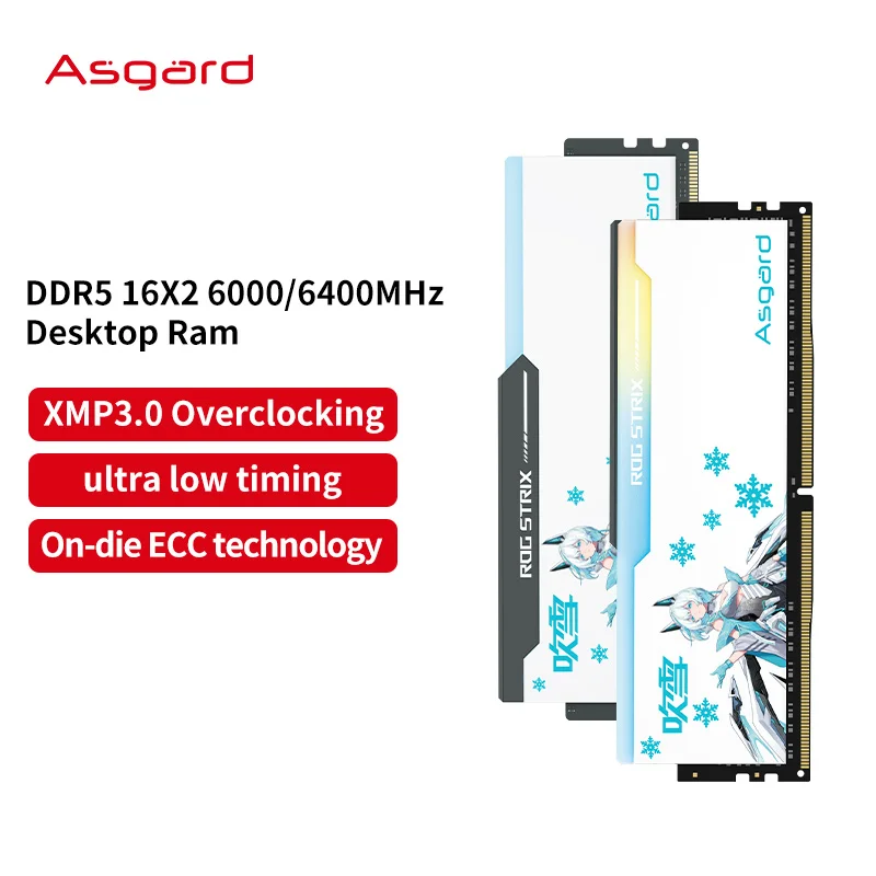 Asgard ROG DDR5 32GB (16GBx2) RAM for Desktop - Supports 6000/6400