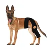 2274# Dog Knee Brace