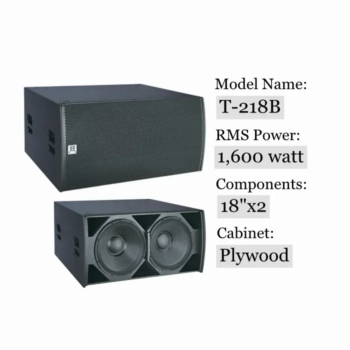 Direct Type Subwoofer Dual 18 Inch Sub Speaker  Powered Subs