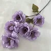 6 teste di peonia pilosa bianca 80 cm