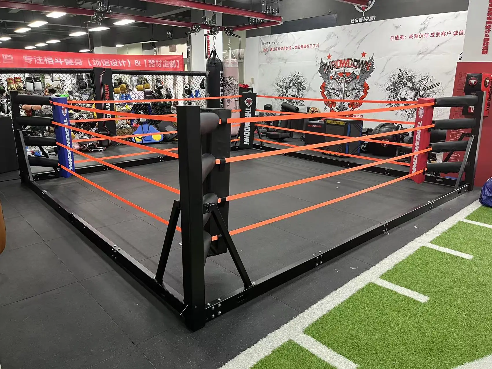 Professional Collapsible Boxing Ring 5m x 5m - Portable Training