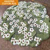 CD rug