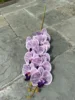 สีม่วง