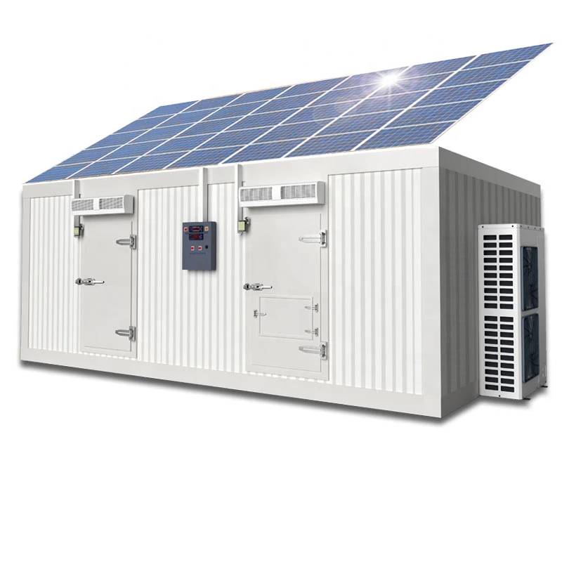 20ft 40ft Cold Storage Solar Container Cold Room With Solar Powered