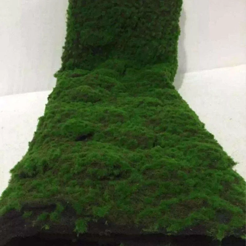 art wall decor artificial moss wall