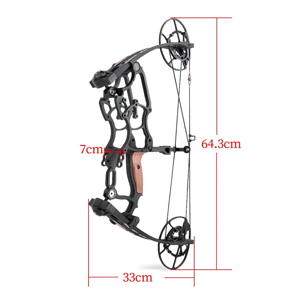 Archery Compound Bows Arrow Hunting Adjustable Draw Weight Compound Bow Shooting Steel Ball and Arrow Dual Purpose for Hunting