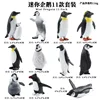 HFM Mini Penguin สีสันสดใส (11 ชุด)