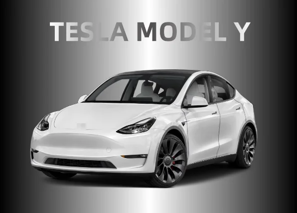 High Quality Auto Part 1505460ECA 1501462ECA for Tesla Model Y