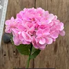 Rosa intenso