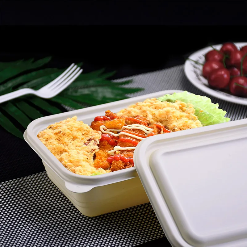Container Lunch Box Set Insulated Bento Salad Packaging Transparent Food Rou