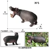 Hippo