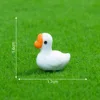 8# White Goose