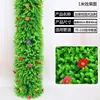 Eucalipto da giardino (60 cm di altezza, 40 cm di larghezza)