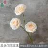 Three-headed Bubble Rose XWJ Champagne