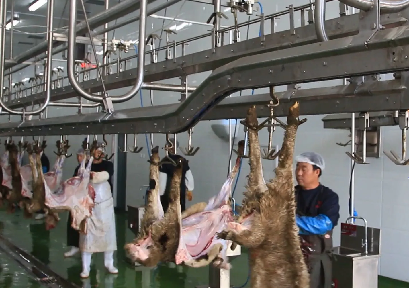 Automatic sheep slaughtering line with durable sheep deboning conveyor for sheep slaughterhouse