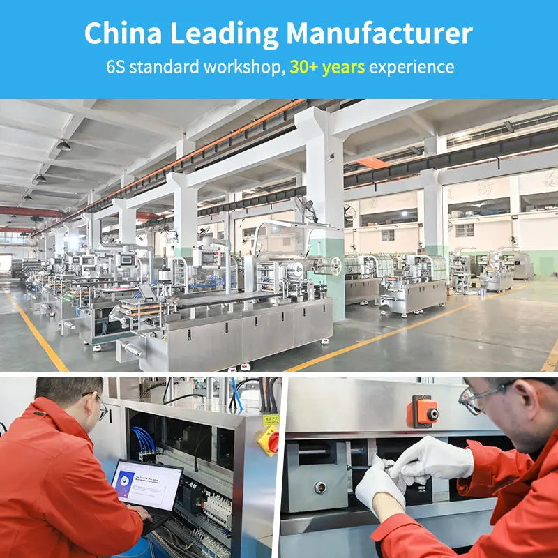 DPP Mini Small Automatic Alu PVC Packaging Tablet Capsule Flat Plate Sealing Forming Blister Packing Machine Price for Sale