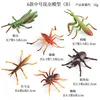 ZZ Medium Insecto 6 Set B