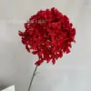 Lilac Hydrangea