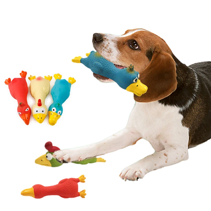 How Do You Clean Rubber Dog Toys