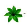 PRF-231 Vert