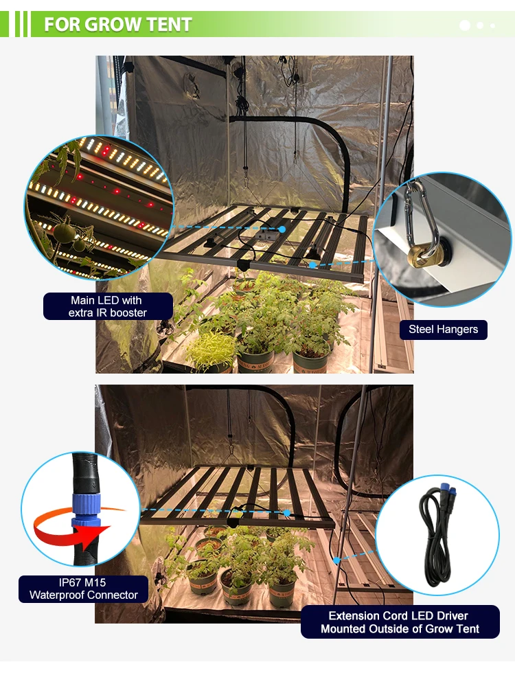 Redfarm De栽培苗木温室全光谱led植物灯折叠650w 8bar水培三星lm301b最佳生长光 Buy 最佳生长灯 深圳园艺垂直农场花卉蔬菜ip65防水可折叠5x5 6500k紫外红外补充生长照明种植者选择 21商业可调光可调高效e27 Lm301h 281b 7w 4x4二极管种子植物生长灯植物照明